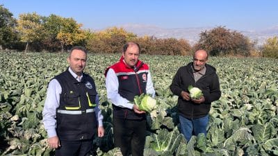 Yaz sezonunun sona ermesinin ardından kışlık sebzeler pazarlarda ve manavlarda