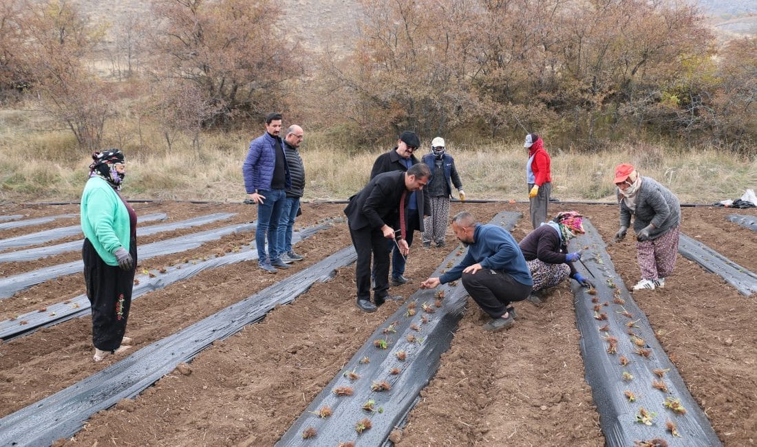 Erzincan tarım sektöründe projeler ardı ardına hayata geçirilmeye devam ediyor.