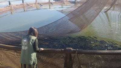 Erzincan’dan Elazığ’a sevkiyat başladı