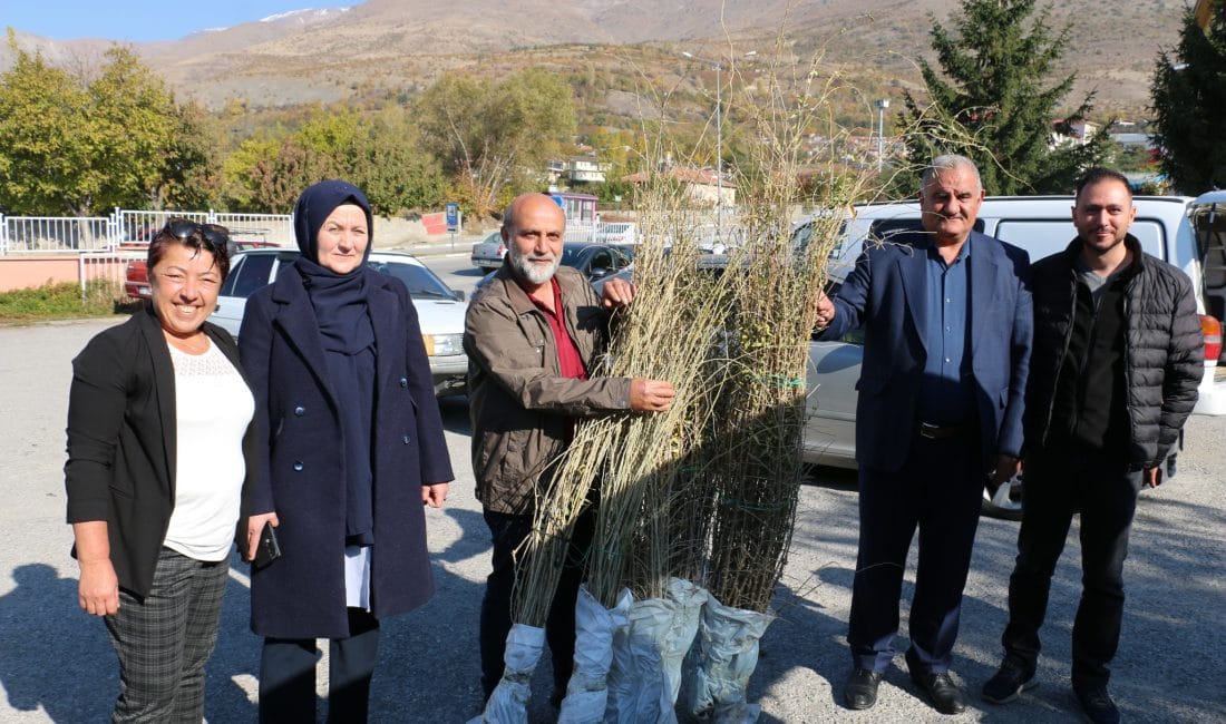 Erzincan Ovası, tarımsal ürün deseni açısından genişlemeye devam ediyor
