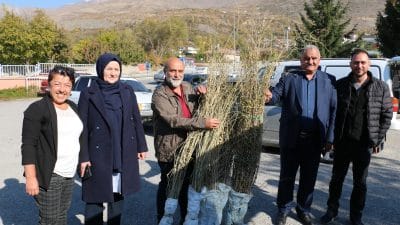 Erzincan Ovası, tarımsal ürün deseni açısından genişlemeye devam ediyor