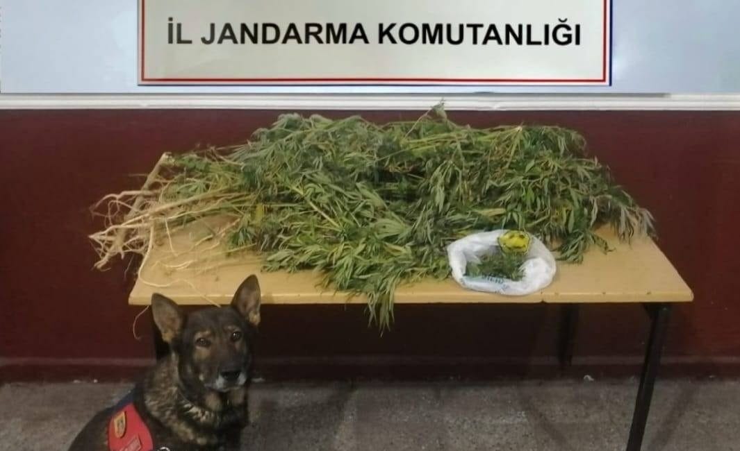 İl Jandarma Komutanlığınca, Ekim 2024 ayında icra edilen Asayiş, Trafik,