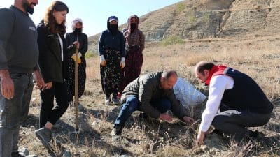 83.250 adet tuz çalısı toprakla buluşturuluyor.