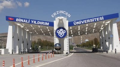 AK Parti Erzincan Milletvekili Süleyman Karaman, 2025 Merkezi Bütçe görüşmelerinde