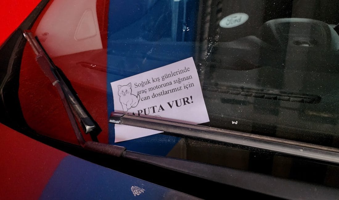 Erzincan Müftülüğü Lise Öğrencilerinden Müteşekkil Suffe Gençlik Ekibi, “Kaputa Vur”