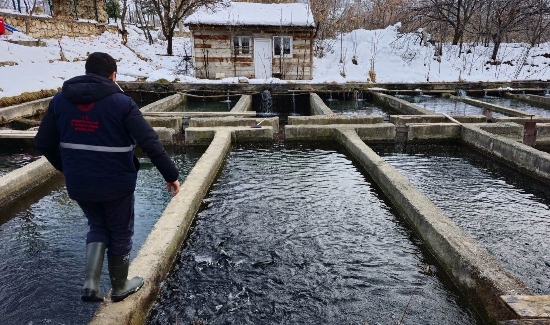 Erzincan bölgesi için tatlı su balıkçılığında da gelecek vadediyor. 