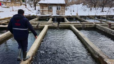Erzincan bölgesi için tatlı su balıkçılığında da gelecek vadediyor. 