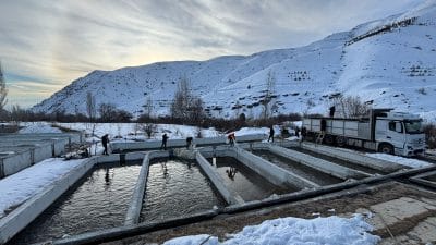Erzincan’da su ürünleri yetiştiriciliği yapan 21 adet tesis bulunuyor