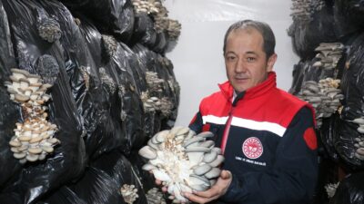 Erzincan çiftçisi tarımsal ürün desenini genişletmeye devam ediyor