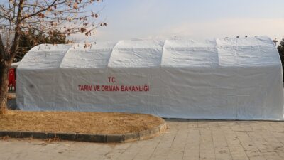 Devletimiz yoğun kar yağışının ardından çiftçilerin yaralarını sarıyor