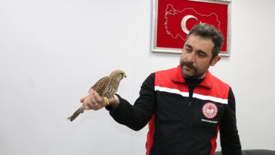 Erzincan’da ağır seyreden kış şartları yaban hayatını olumsuz etkilemeye devam