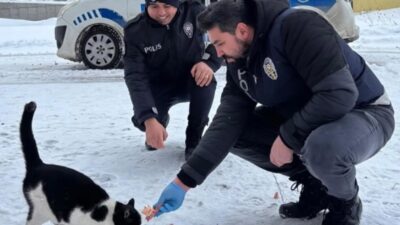 Erzincan'da polis ekipleri, olumsuz hava koşullarında sahipsiz hayvanların aç kalmaması