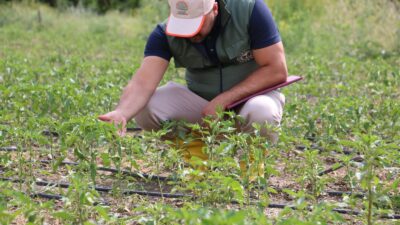 Erzincan’da Basınçlı Sulamaya Yüzde 50 Hibe Başvuruları Başladı