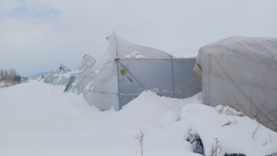 Erzincan Tarım ve Orman İl Müdürlüğü tarafından çiftçilere kuvvetli kar