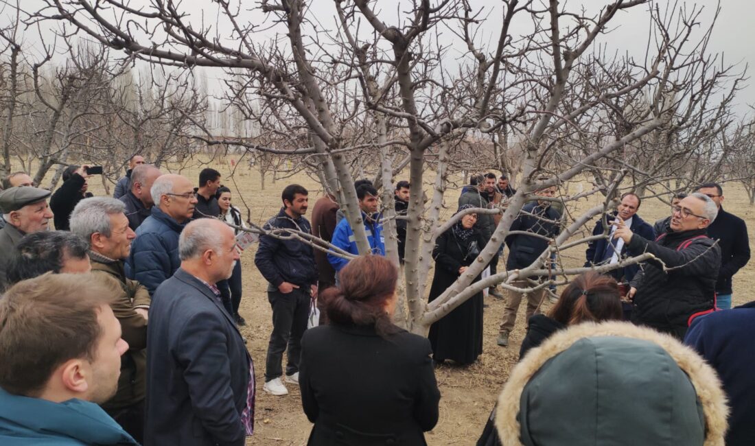 Erzincan’da başlayacak olan Tarım Akademisi ile uzmanlardan çiftçilere bilgi akışı