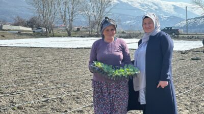 Erzincan ağır geçen kış mevsiminin ardından havaların ısınmaya başlaması ile