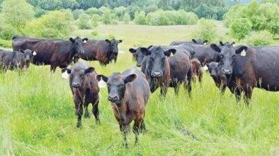 Erzincan Tarım ve Orman İl Müdürlüğü tarafından tanıtılmasıyla proje Erzincan’da