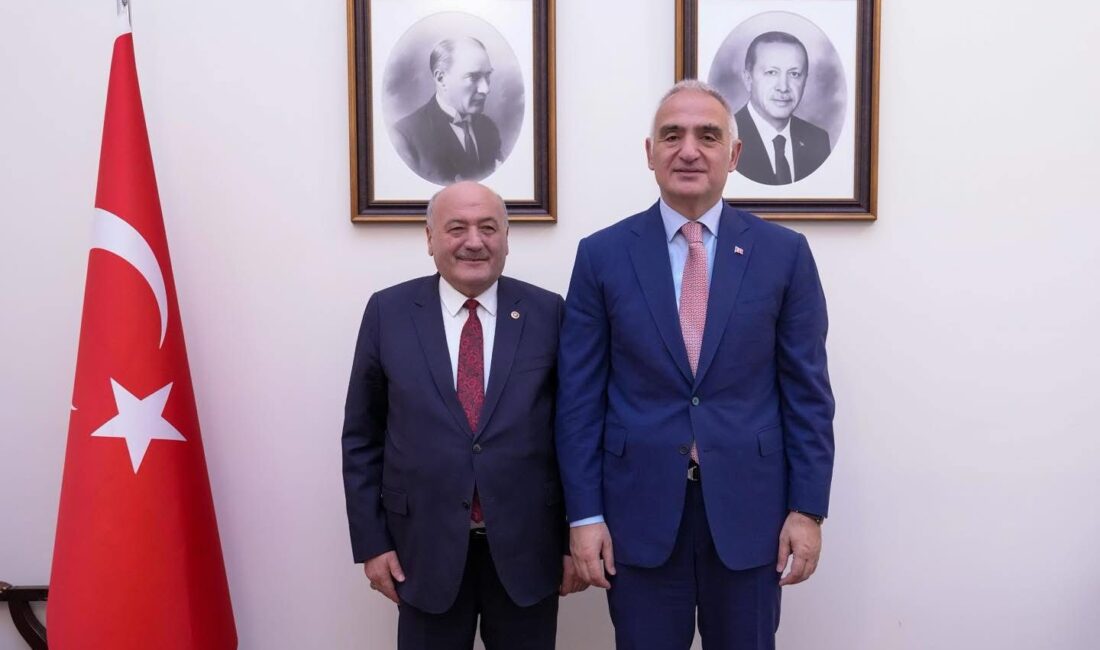 AK Parti Erzincan Milletvekili Süleyman Karaman, Türkiye Büyük Millet Meclisi’nde