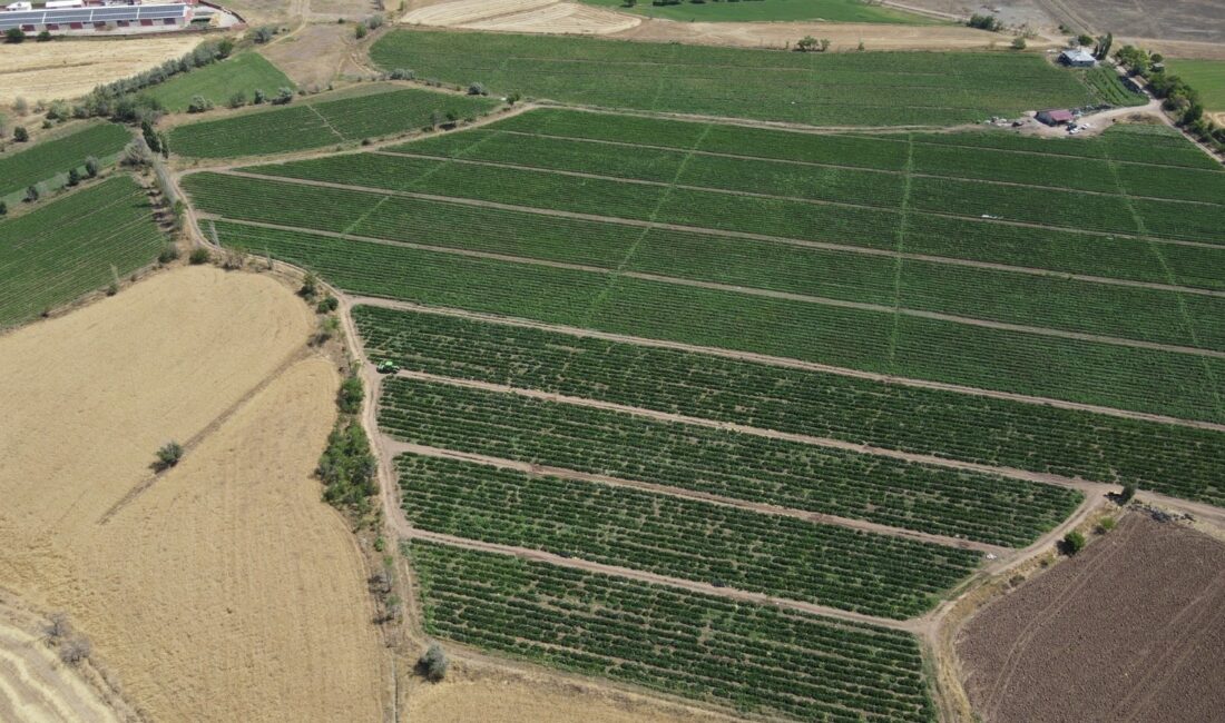 Erzincan Tarım ve Orman İl Müdürlüğü tarafından Erzincan çiftçisine %50