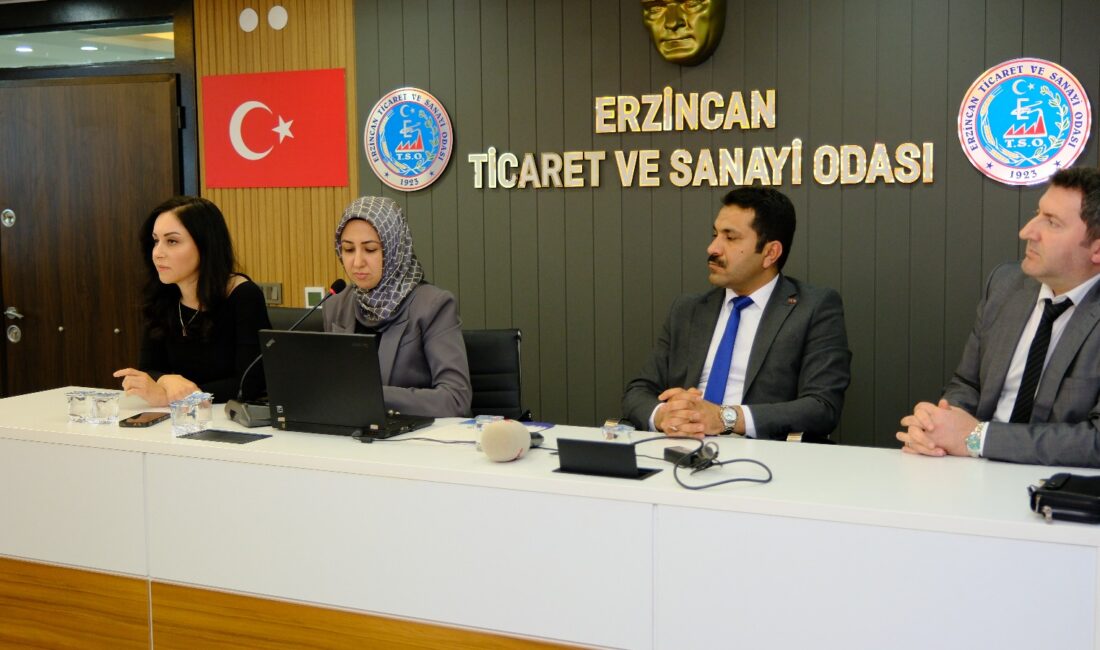 Kadın İstihdamı İçin Pozitif Ayrımcılık Programı (KİPAP), Erzincanlı kadınlardan büyük