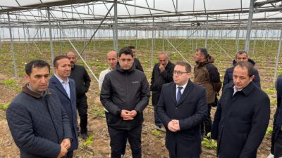 Erzincan Toplu Sera Bölgesi Yatırımcıları Tokat - Erbaa Kesme Çiçek