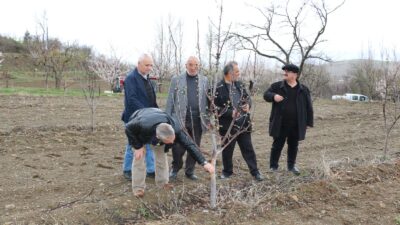 Erzincan’da zorlu kış şartları birçok yaban hayvanını da zor durumda