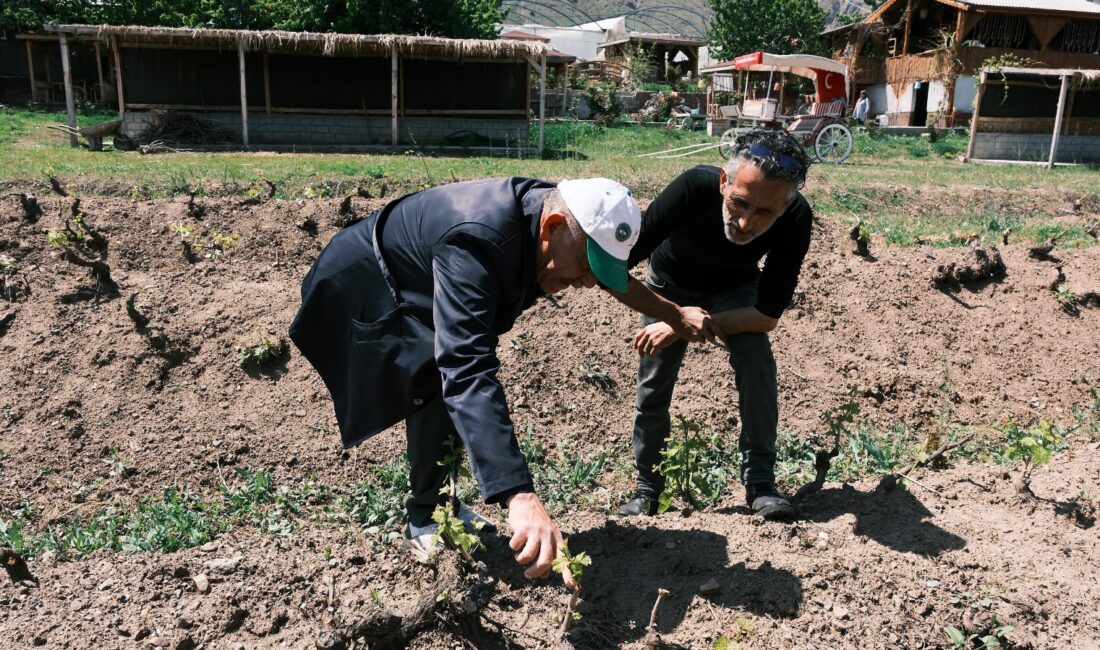 Erzincan Tarım ve Orman İl Müdürlüğü Bitkisel Üretim ve Bitki