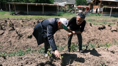 Erzincan Tarım ve Orman İl Müdürlüğü Bitkisel Üretim ve Bitki