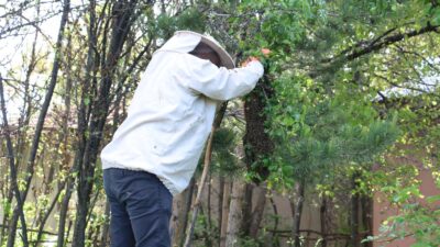 Erzincan’da ağır geçen kış şartları ve dondurucu soğuklar arı kolonilerinde