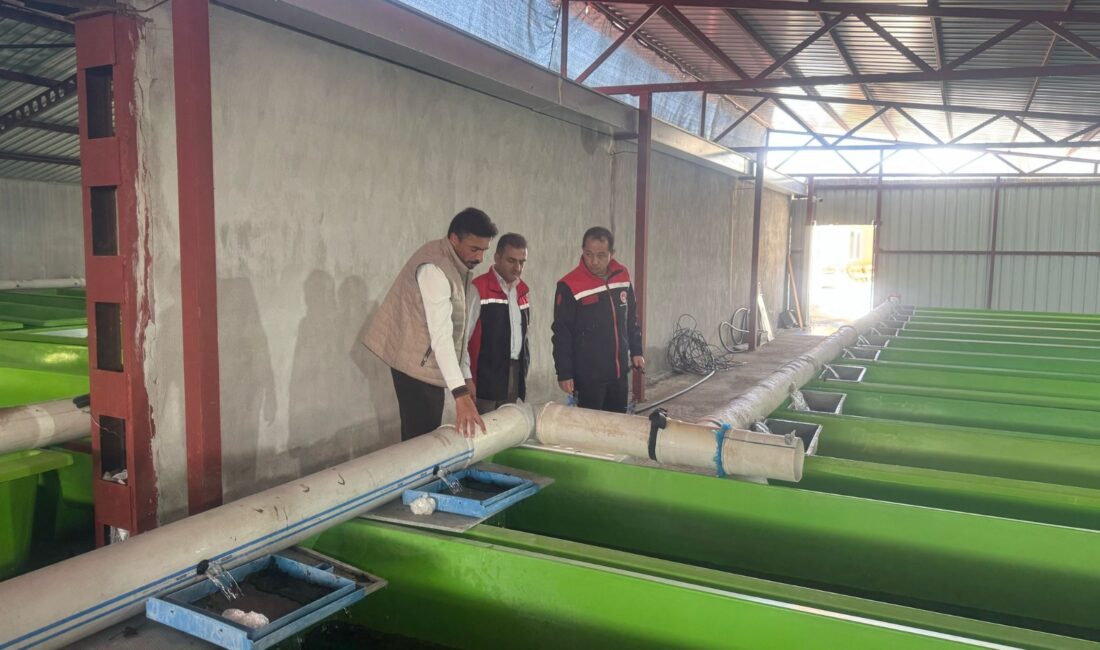 Erzincan tarım sektörü çok yönlü olarak üretimi sürdürüyor. 