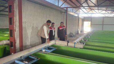 Erzincan tarım sektörü çok yönlü olarak üretimi sürdürüyor. 