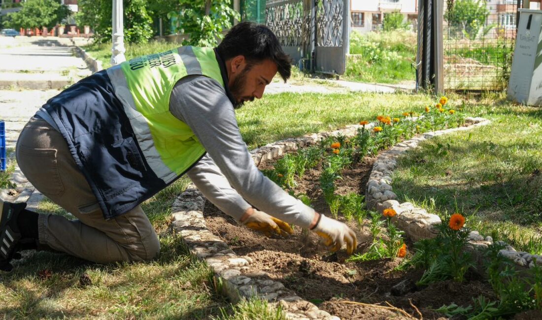 Belediye yaptığı yeşillendirme ve park alanı çalışmaları ile örnek olmaya