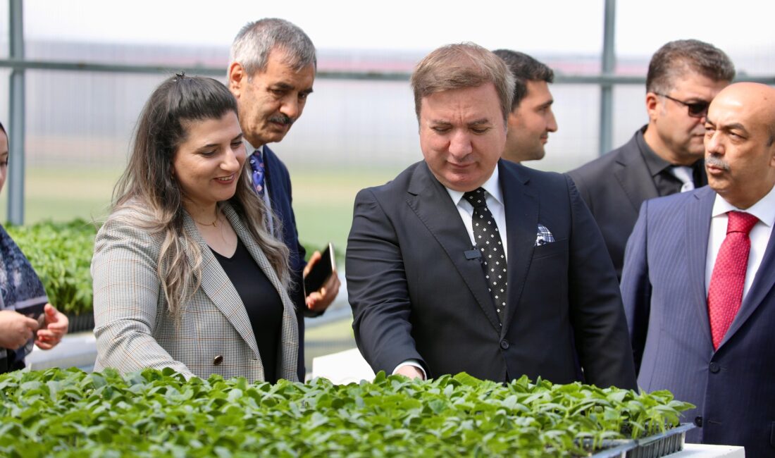 Öğrencilerin emek ve özveriyle yetiştirdiği 200 bin fide, Erzincan’ın topraklarıyla