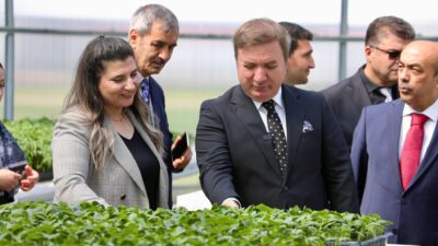 Öğrencilerin emek ve özveriyle yetiştirdiği 200 bin fide, Erzincan’ın topraklarıyla