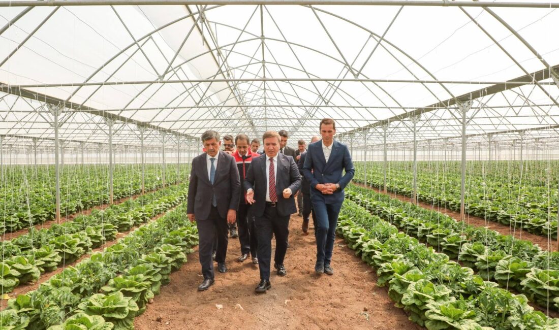 Erzincan’da mevcut 600 dekarlık sera alanının yaklaşık 100 dekarlık kısmında,