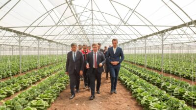 Erzincan’da mevcut 600 dekarlık sera alanının yaklaşık 100 dekarlık kısmında,