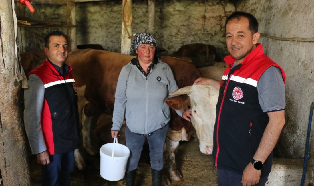 Erzincan tarım sektörü her geçen gün renklenmeye ve daha fazla