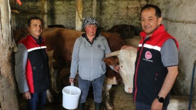 Erzincan tarım sektörü her geçen gün renklenmeye ve daha fazla