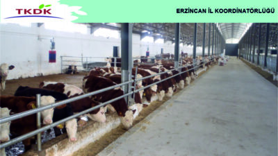 IPARD III Programı Erzincan'da Güçlü Başladı