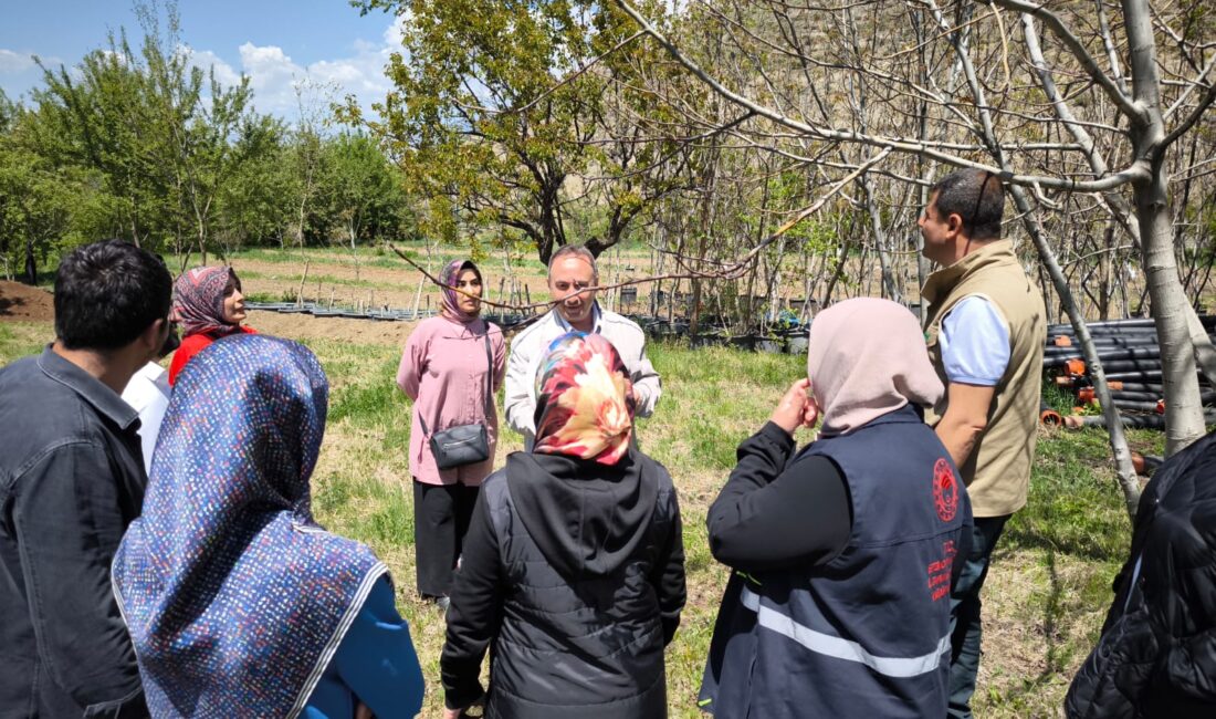 Erzincan’da Mart ayı içerisinde meydana gelen zirai don zararının ardından