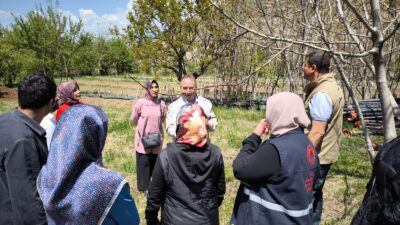 Erzincan’da Mart ayı içerisinde meydana gelen zirai don zararının ardından