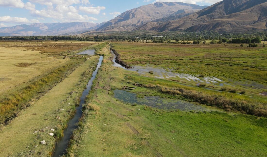 Erzincan’da köy muhtarlarının talepleri doğrultusunda oluşturulan mera ıslah projeleri Tarım