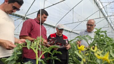 Tarım ve Orman Bakanlığı 2025 yılını Pestisit Kalıntısı İle Mücadele