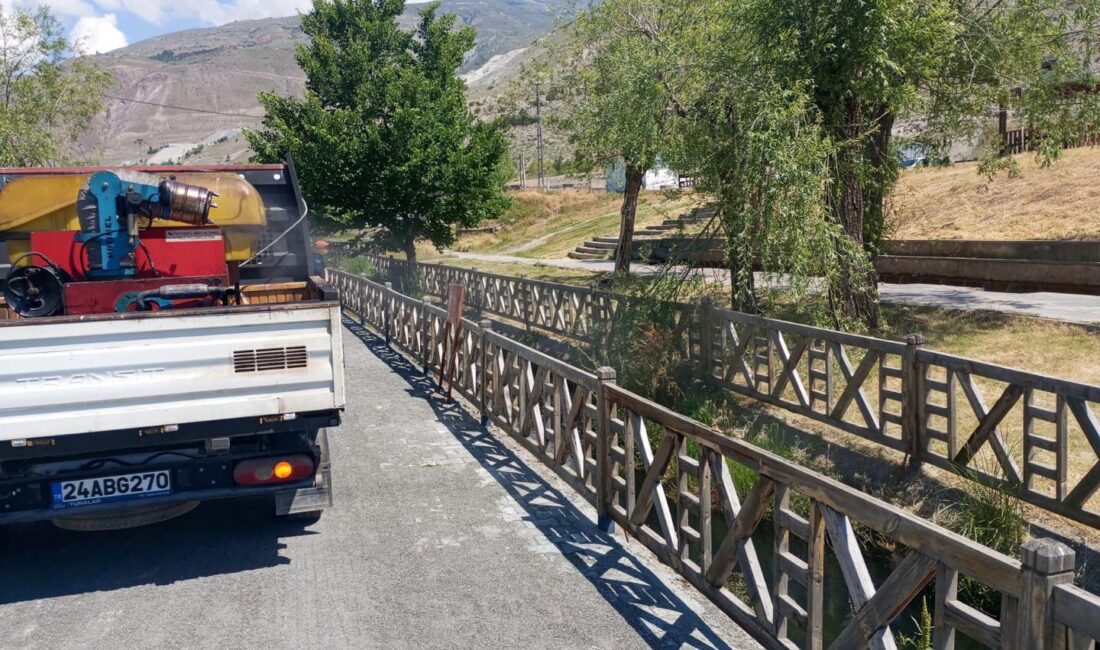 Halk sağlığını korumak amacıyla yürütülen ilaçlama çalışmalarının ilk aşaması tamamlandı.