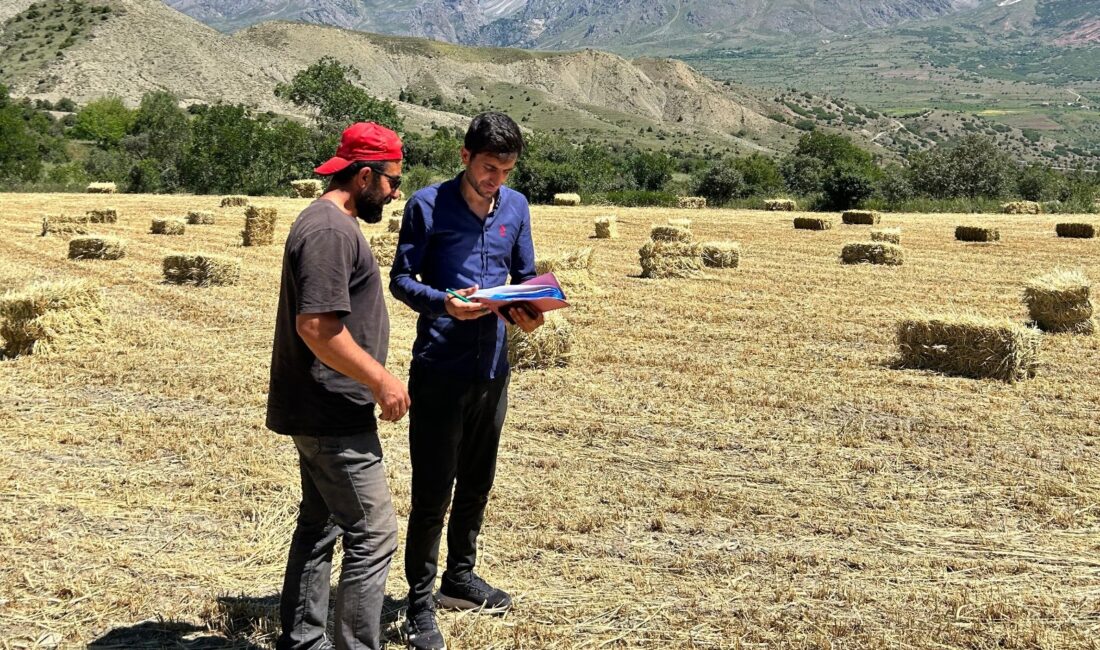 Erzincan son yıllarda yem bitkisi ekilişi alanlarında artış görünüyor. 