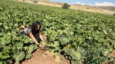 Birçok tarımsal ürünün yetiştirildiği Erzincan ve ilçelerinde ürün desenine yeni
