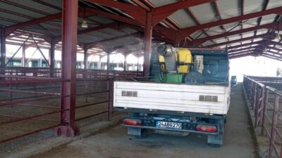 Canlı Hayvan Pazarında Dezenfeksiyon İşlemleri Yapılıyor