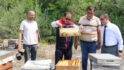 Ağustos ayının gelmesiyle birlikte Erzincan’ın meşhur geven balında hasat telaşı