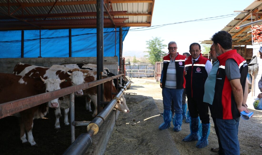Tarım ve Orman Bakanlığı’nın ülke genelinde et üretimini artırmak amacıyla