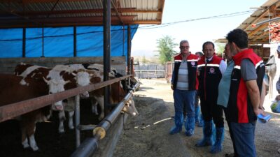 İlk Hayvanlar Geldi Tarım ve Orman Bakanlığı’nın ülke genelinde et üretimini artırmak amacıyla